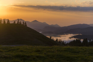 Sommer Abendstimmung Alm Sommer Abendstimmung Alm